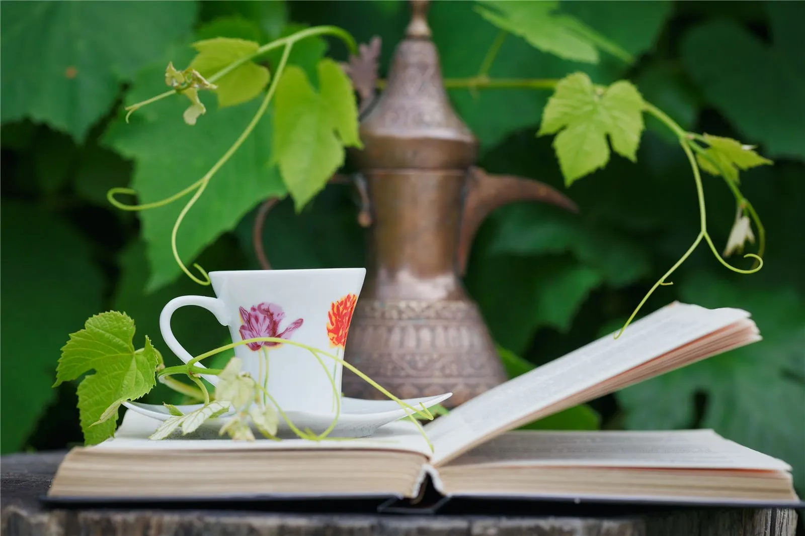 Fasting Retreats